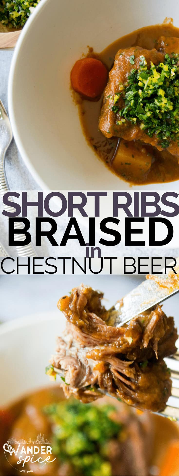 braised beer short ribs