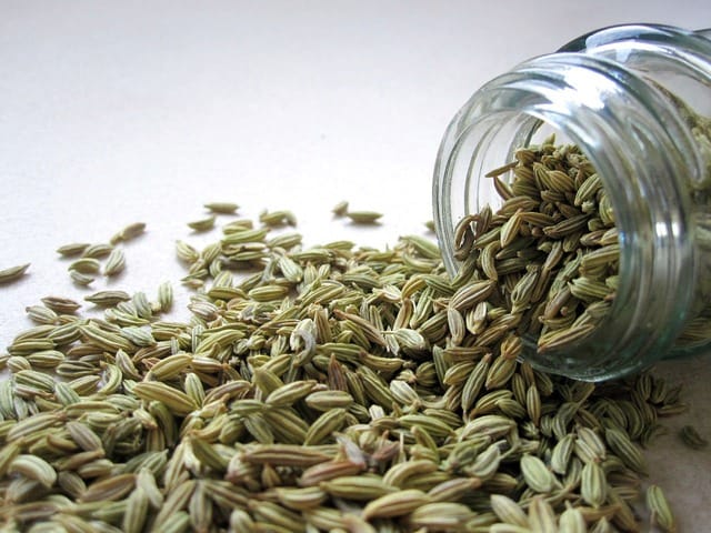 Spilled jar of fennel seeds on white background