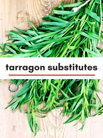 tarragon substitutes